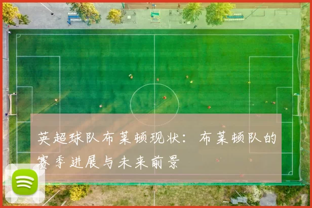 英超球队布莱顿现状：布莱顿队的赛季进展与未来前景