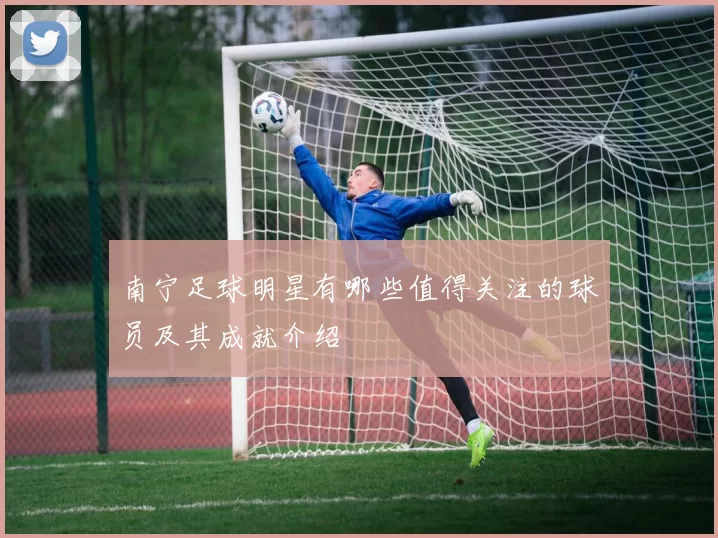 南宁足球明星有哪些值得关注的球员及其成就介绍
