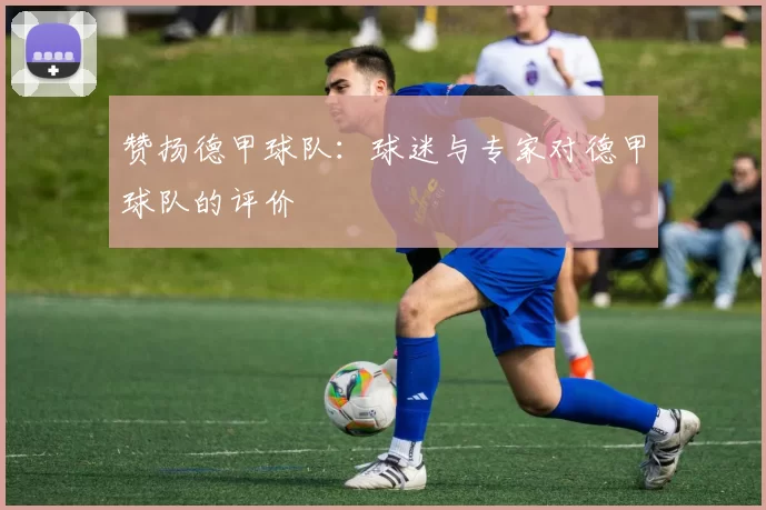 赞扬德甲球队：球迷与专家对德甲球队的评价