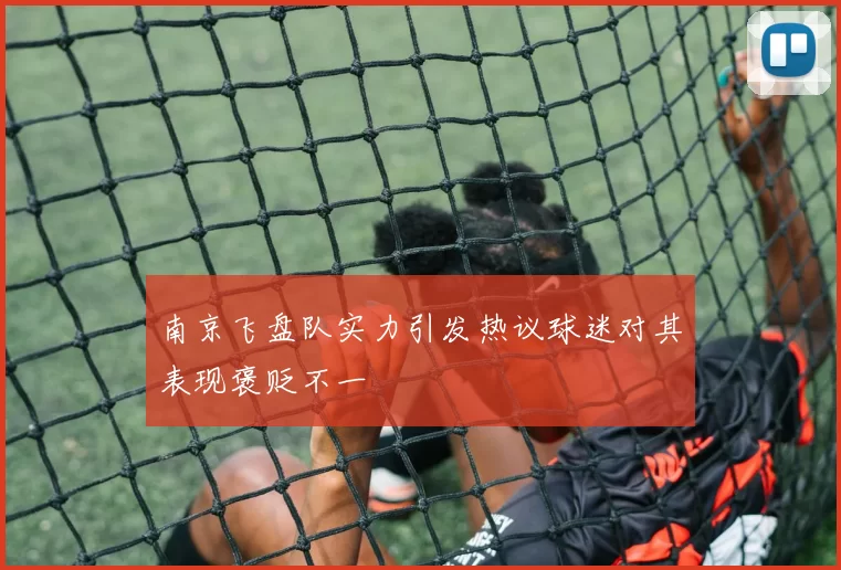 南京飞盘队实力引发热议球迷对其表现褒贬不一