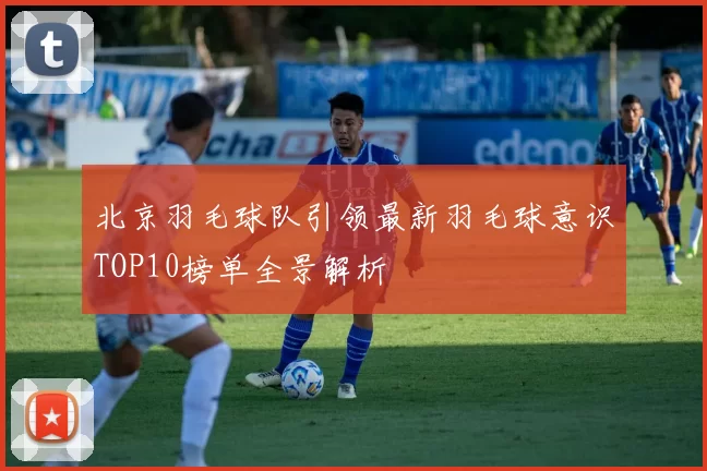 北京羽毛球队引领最新羽毛球意识TOP10榜单全景解析