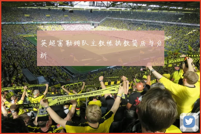 英超富勒姆队主教练执教简历与分析