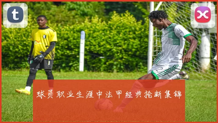 球员职业生涯中法甲经典抢断集锦