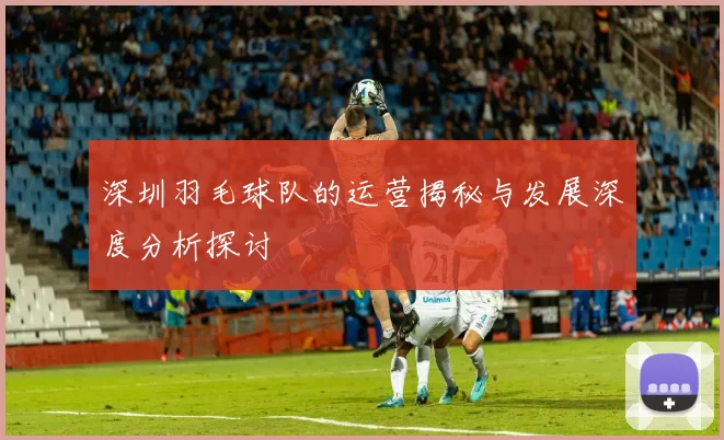 深圳羽毛球队的运营揭秘与发展深度分析探讨