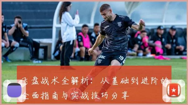 飞盘战术全解析：从基础到进阶的全面指南与实战技巧分享