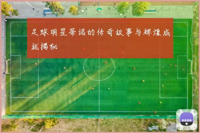 足球明星蒂诺的传奇故事与辉煌成就揭秘