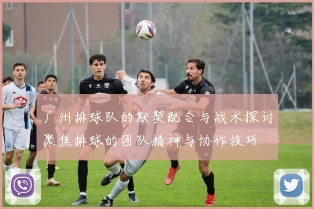 广州排球队的默契配合与战术探讨聚焦排球的团队精神与协作技巧