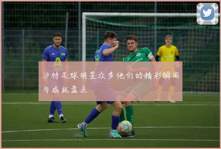 沙特足球明星众多他们的精彩瞬间与成就盘点