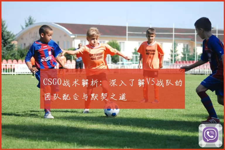 CSGO战术解析：深入了解V5战队的团队配合与默契之道