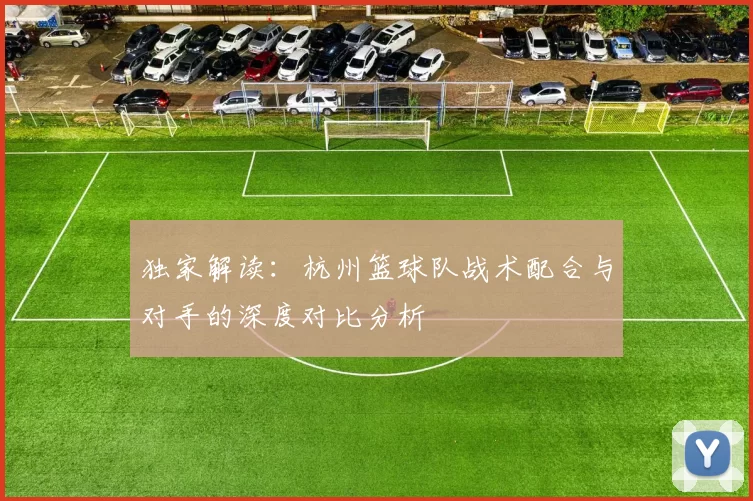 独家解读：杭州篮球队战术配合与对手的深度对比分析