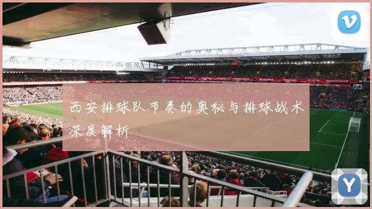 西安排球队节奏的奥秘与排球战术深度解析