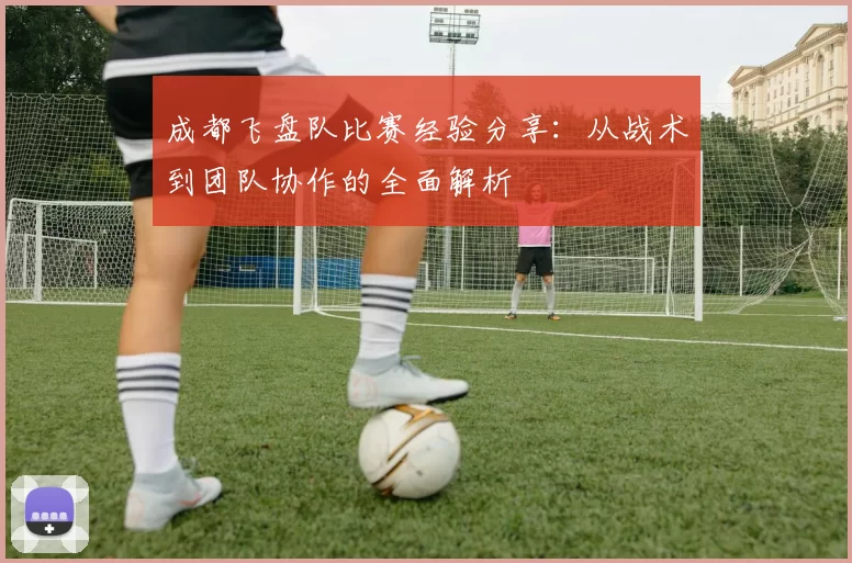 成都飞盘队比赛经验分享：从战术到团队协作的全面解析