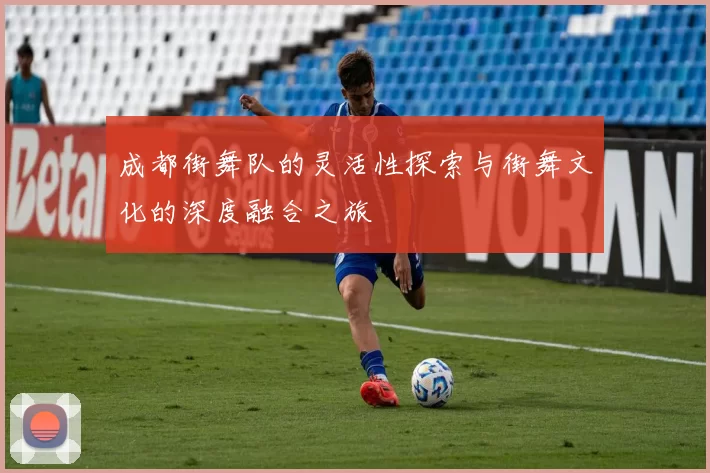 成都街舞队的灵活性探索与街舞文化的深度融合之旅