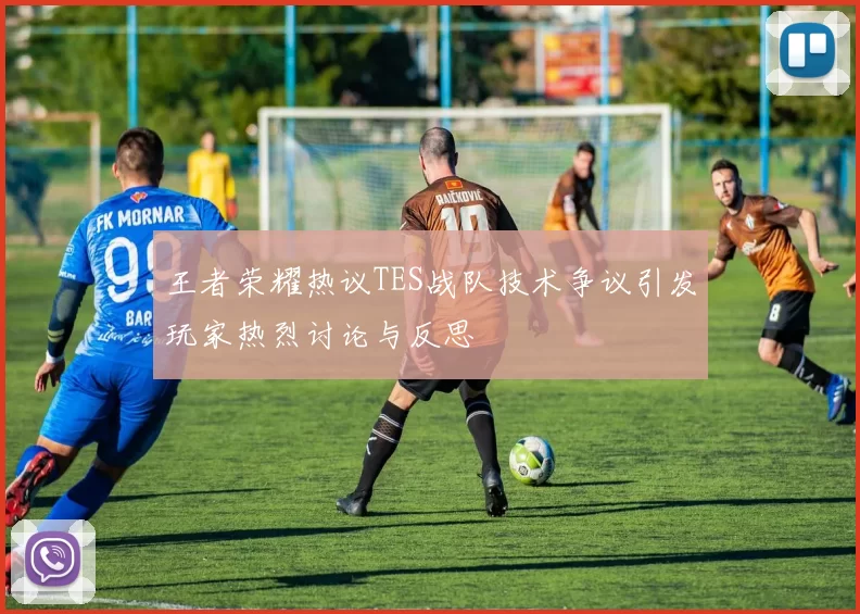 王者荣耀热议TES战队技术争议引发玩家热烈讨论与反思