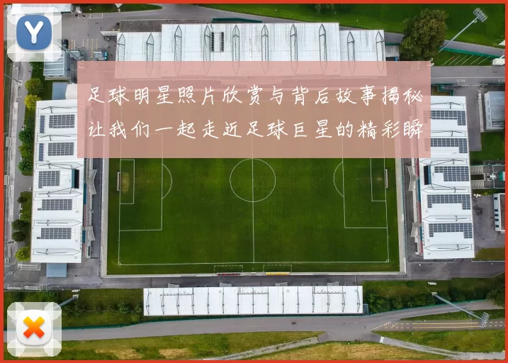 足球明星照片欣赏与背后故事揭秘让我们一起走近足球巨星的精彩瞬间