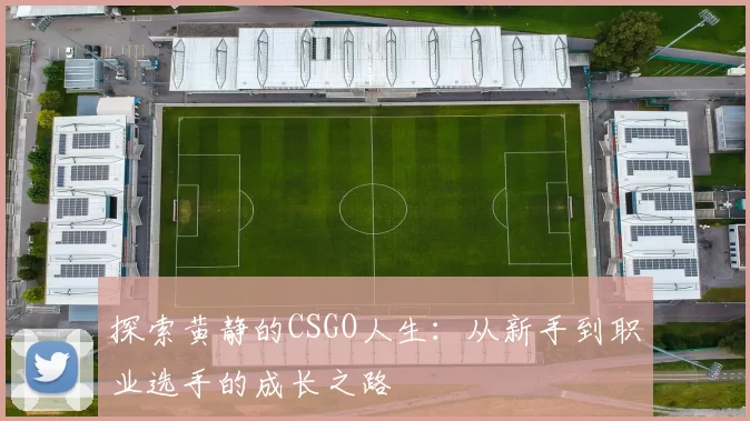 探索黄静的CSGO人生：从新手到职业选手的成长之路
