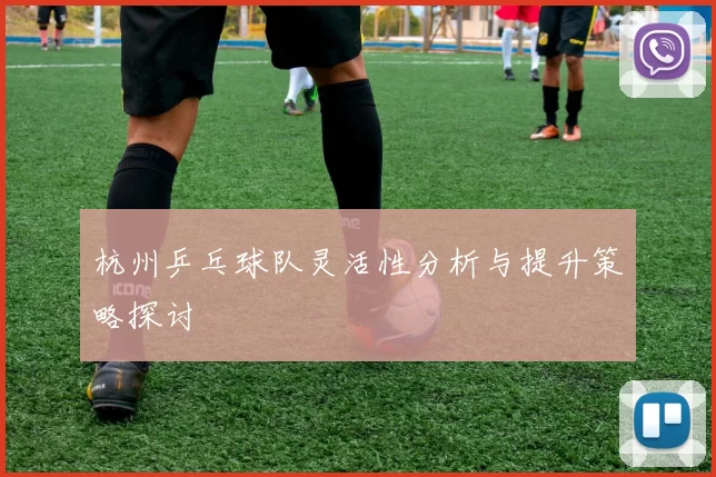 杭州乒乓球队灵活性分析与提升策略探讨