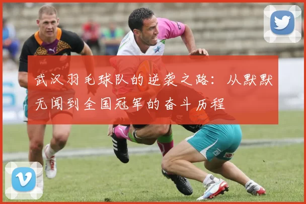 武汉羽毛球队的逆袭之路：从默默无闻到全国冠军的奋斗历程