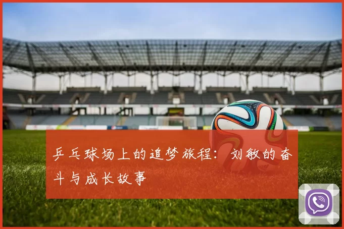 乒乓球场上的追梦旅程：刘敏的奋斗与成长故事